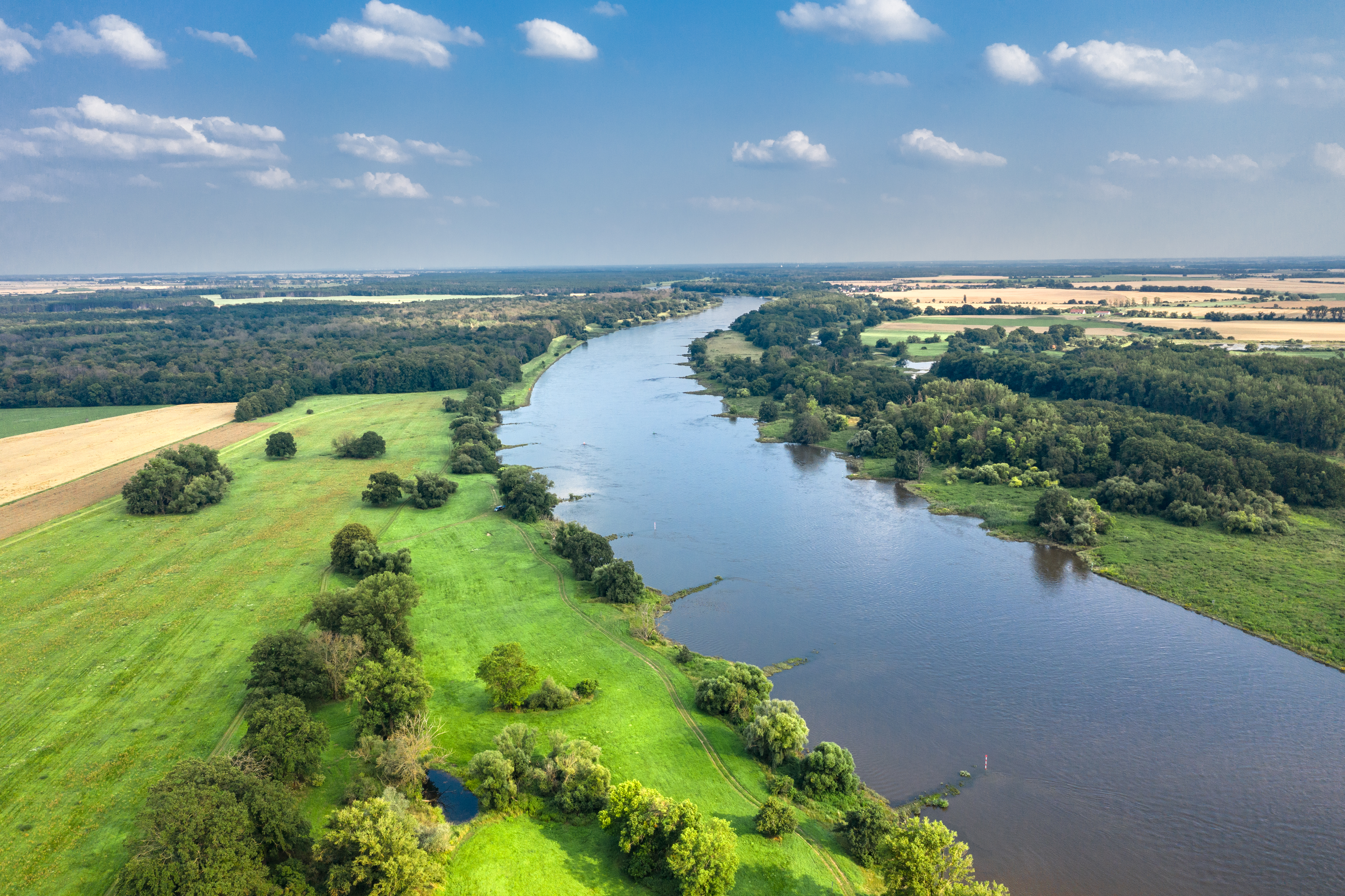 Elbe, Biosphärenreservat Mittelelbe