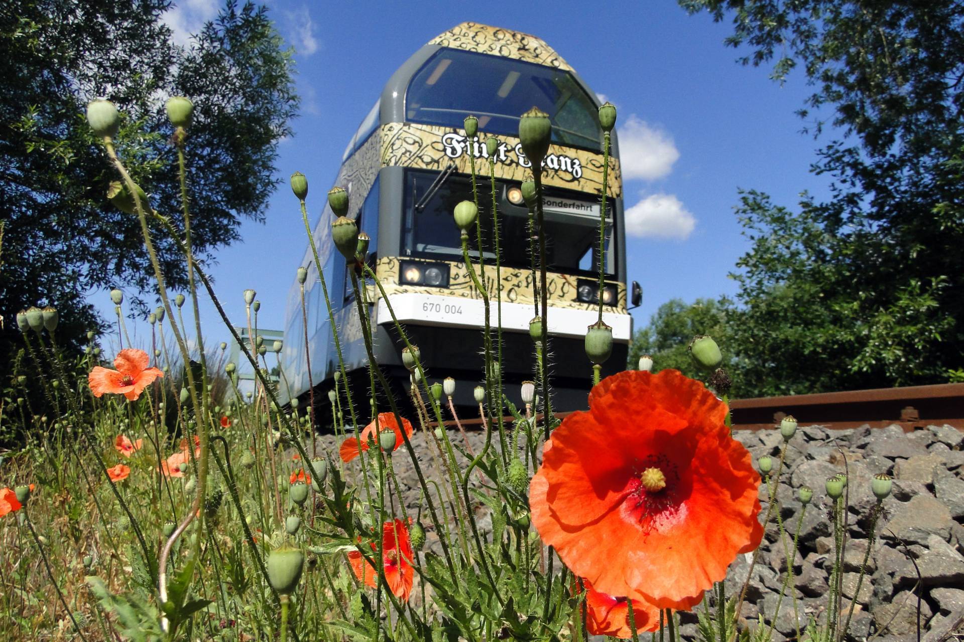 Dessau Wörlitzer Eisenbahn