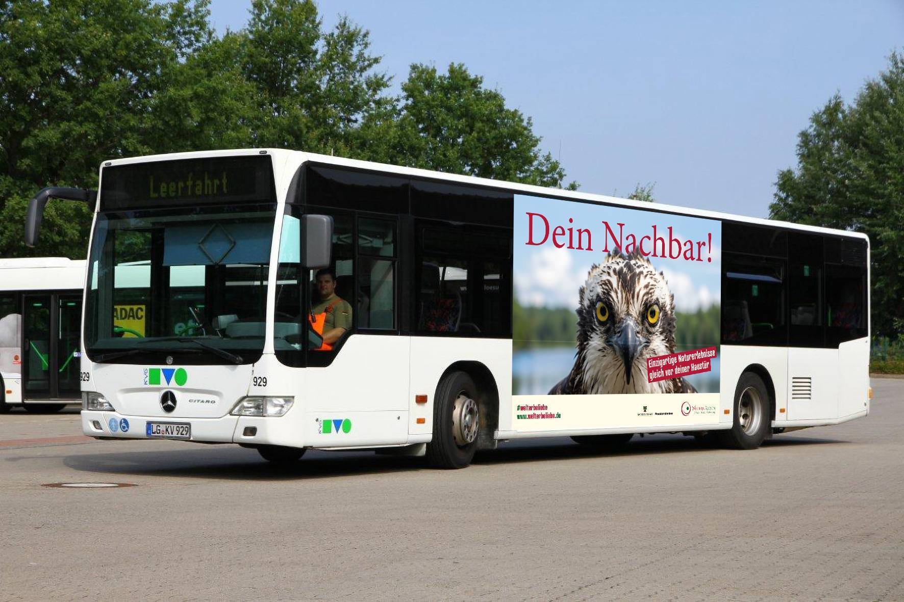 Binnenmarktkampagne Bus Binnenmarktkampagne Bus