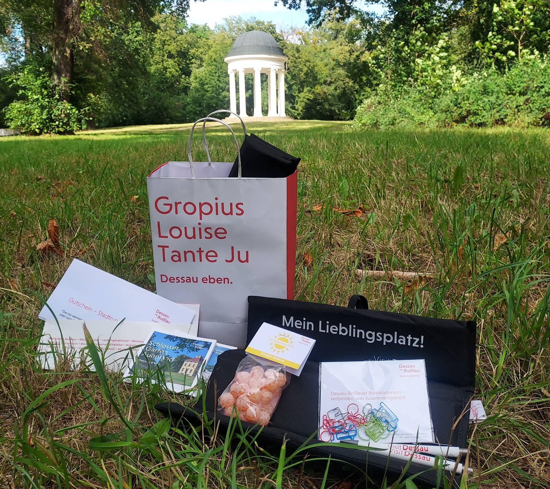  Dessau-Ro&szlig;lau Entdeckert&uuml;te