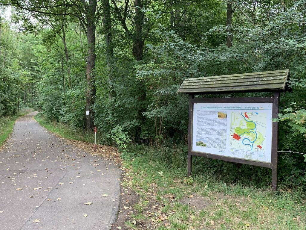 Wanderweg "Pl&ouml;tzkauer Auwald"