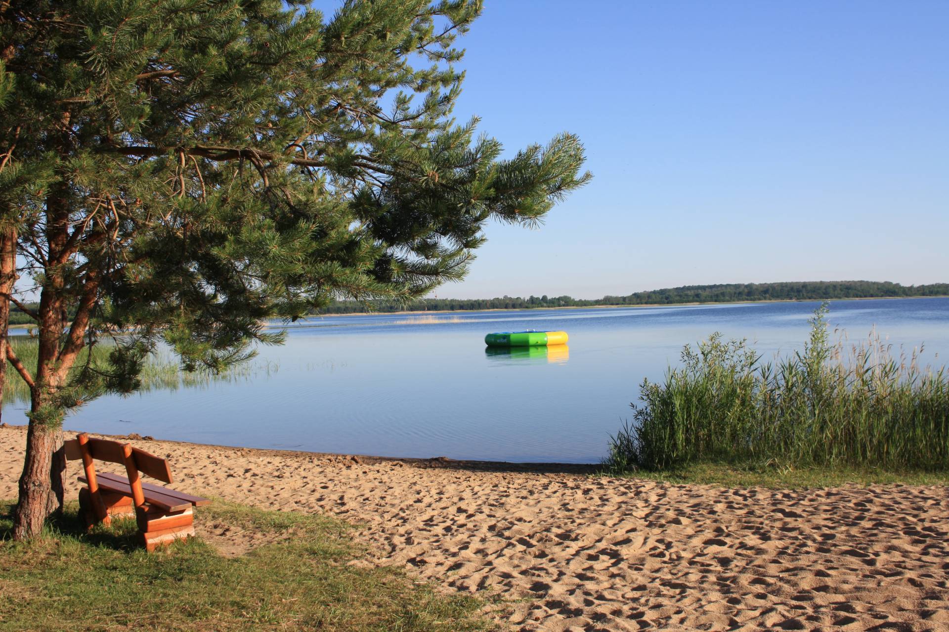 eine Bank am Strand mit Blick auf den Gröberner See