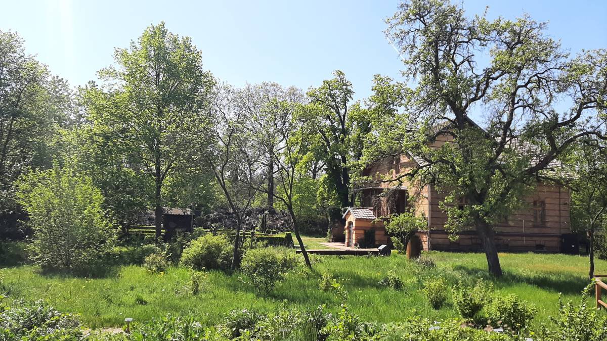 Außengelände Auenhaus, Biosphärenreservat Mittelelbe