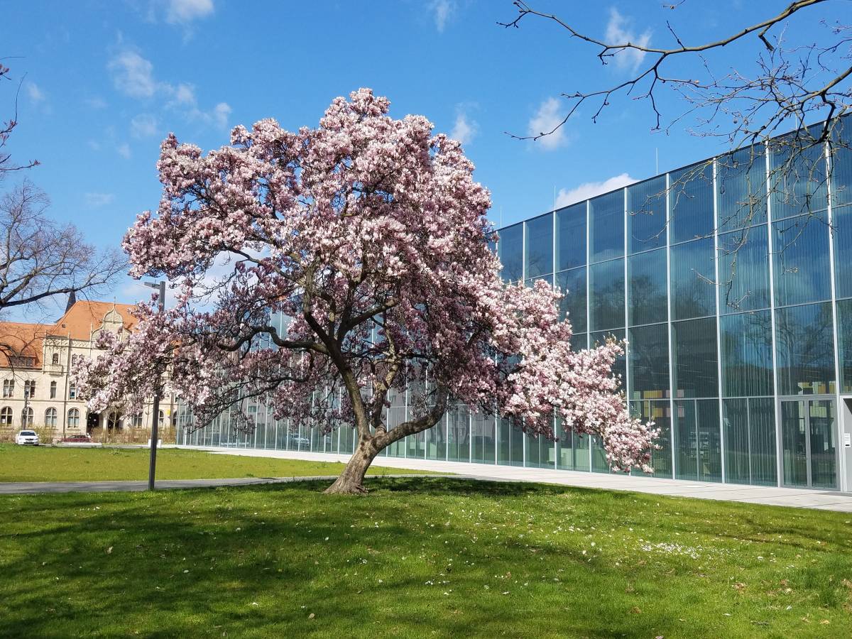 Bauhaus Museum, Dessau-Ro&szlig;lau