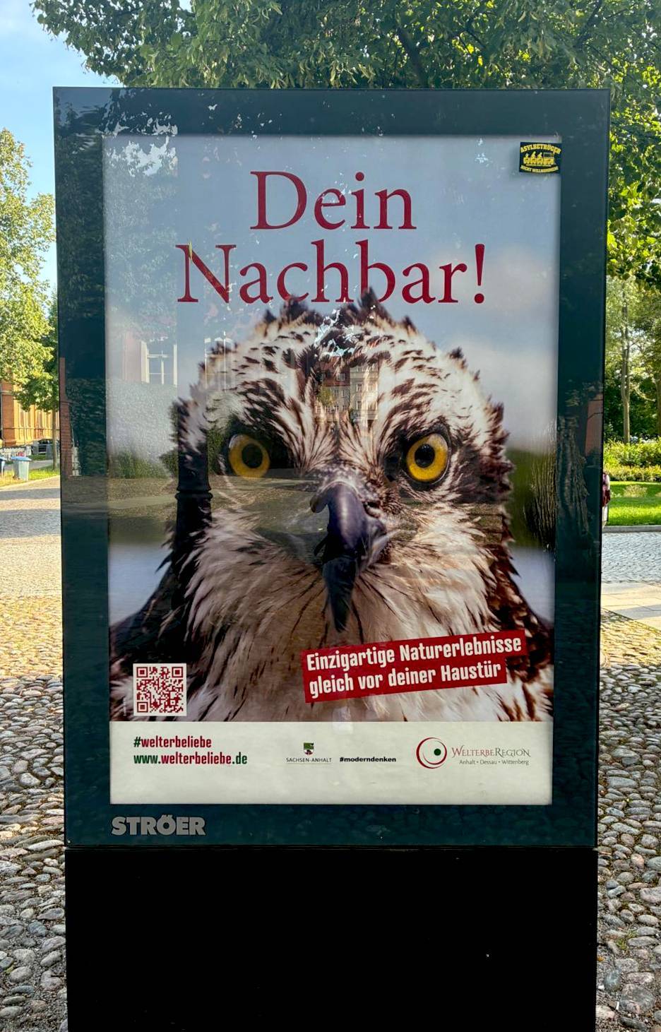 Binnenmarktkampagne Binnenmarktkampagne