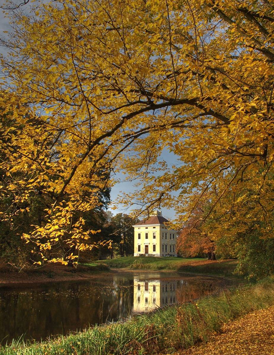 Schloss Luisium im Herbst