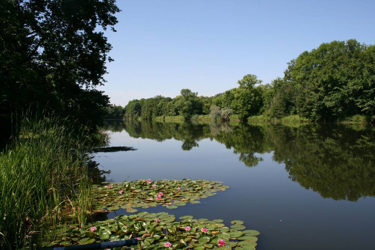 Naturpark Unteres Saaletal