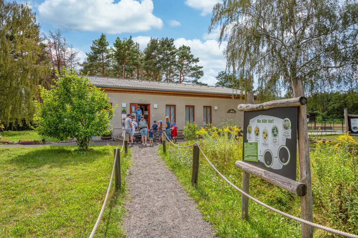 Eingangsbereich zum Waldhaus am Bergwitzsee
