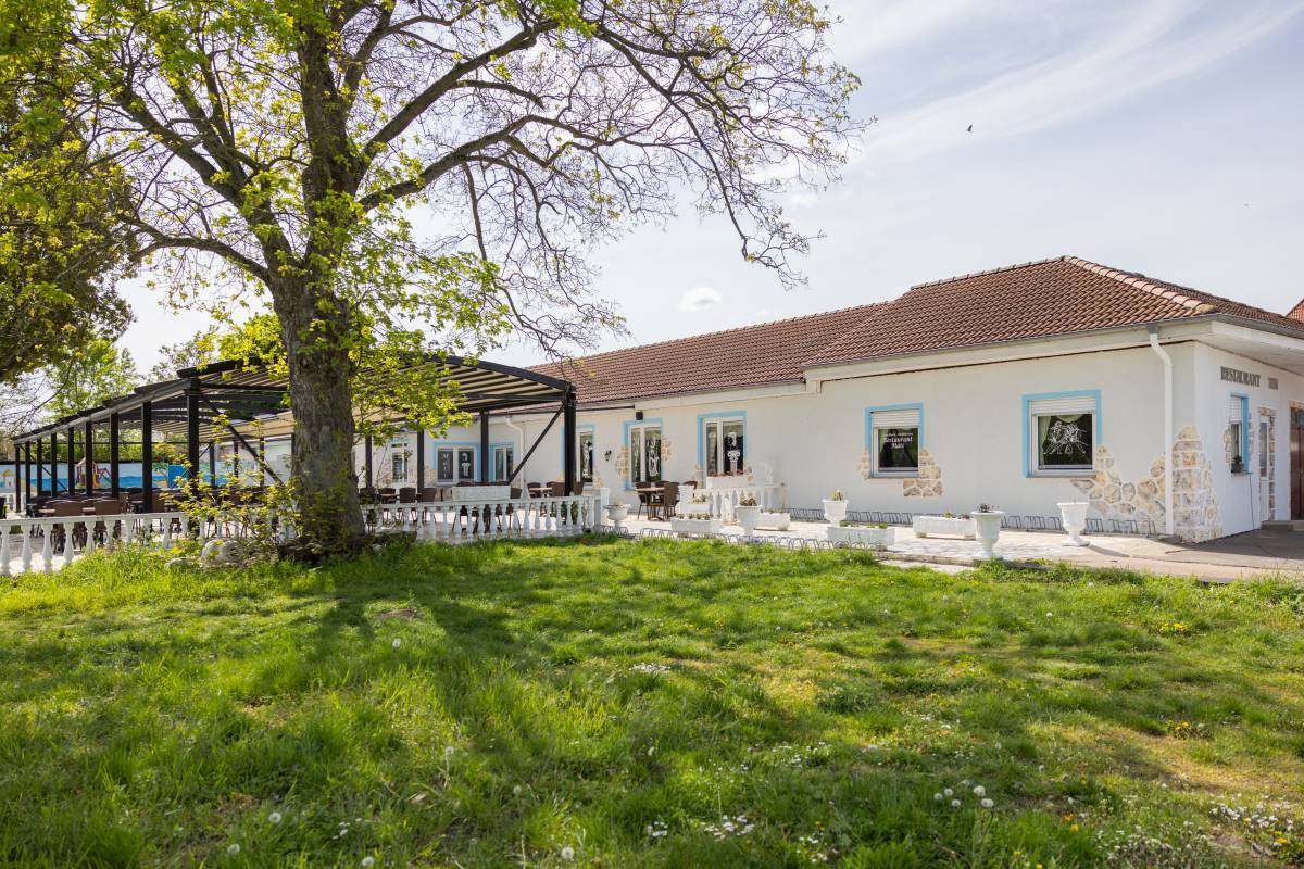 Begrünter Außenbereich mit Blick auf die Terrasse des Mati Restaurant Dessau.