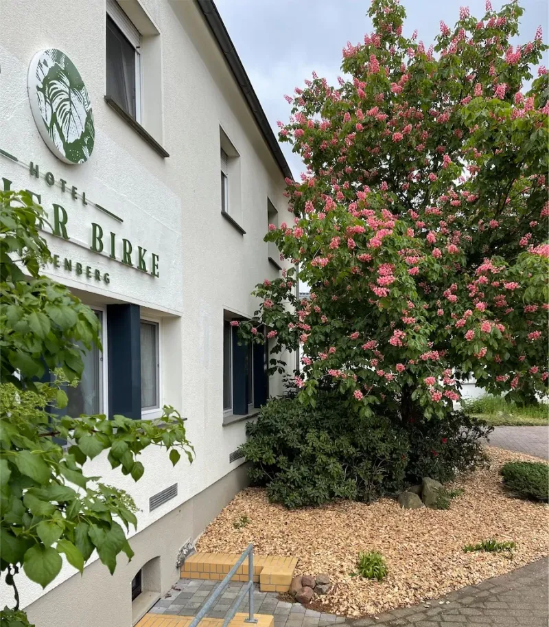 Hotel Luther Birke Wittenberg
