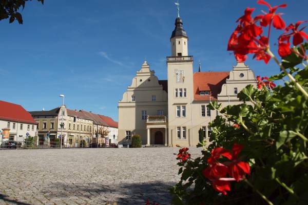Blick auf das Coswiger Rathaus auf dem Marktplatz