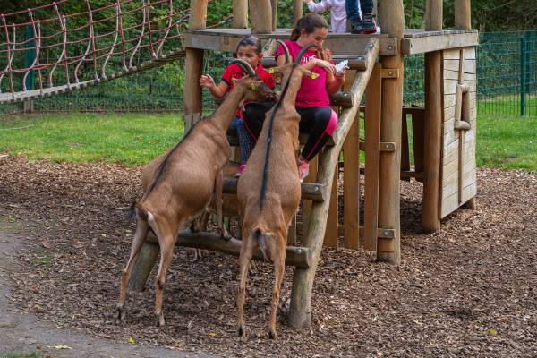 Kinder auf dem Spielplatz im Tierpark 