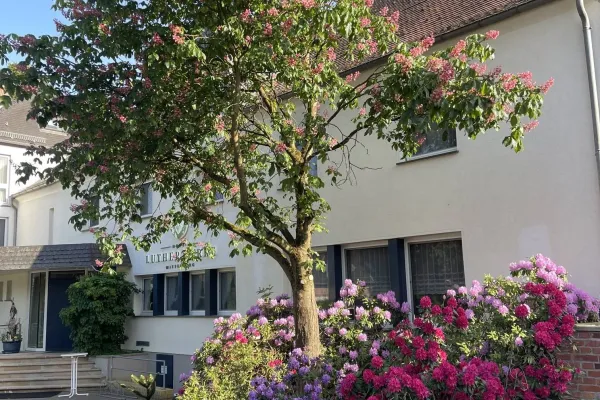 Hotel Luther Birke Wittenberg