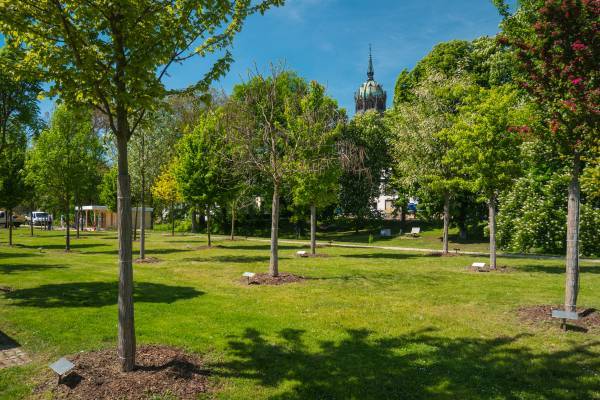 gInvestitions- und Marketinggesellschaft Sachsen Anhalt mbH, Danny Kurz