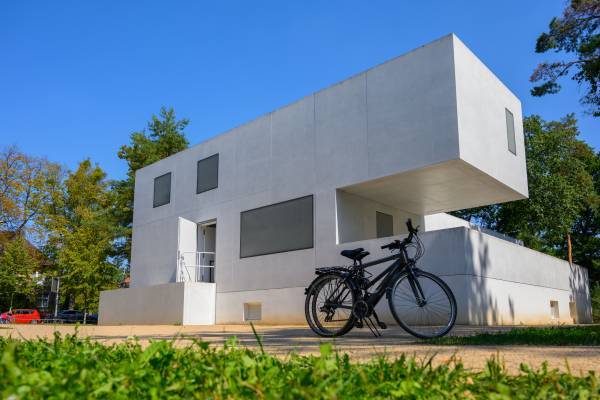 Stadtmarketinggesellschaft Dessau-Roßlau GmbH, Felix Paulin, Mika Garau