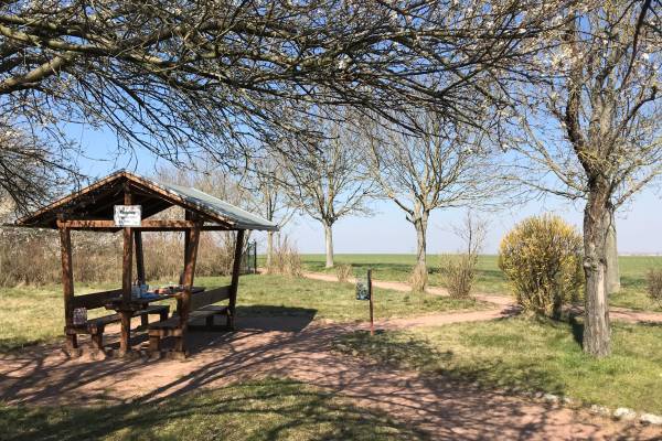 WelterbeRegion ADW, Vanessa Deisinger
