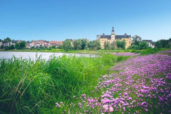 Stadt Coswig (Anhalt)